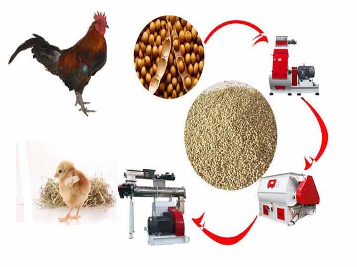 chicken feed production line