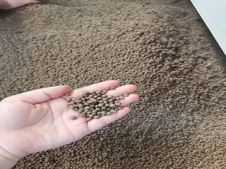 floating fish feed pellet